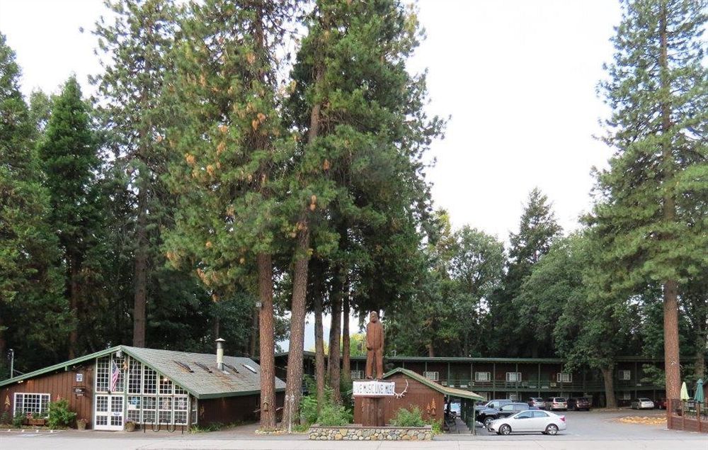 Shasta Inn Mount Shasta Εξωτερικό φωτογραφία